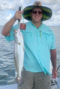 Speckled Trout / Spotted Seatrout fishing in Matagorda, Texas