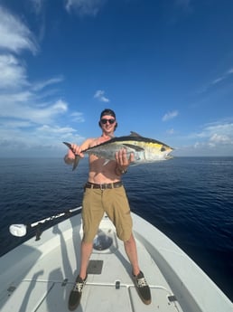 Blackfin Tuna Fishing in Key West, Florida