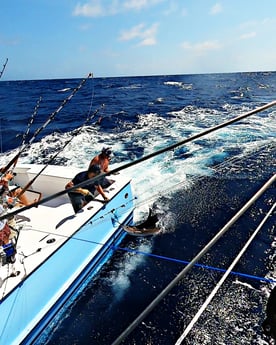 Black Marlin fishing in Morehead City, North Carolina