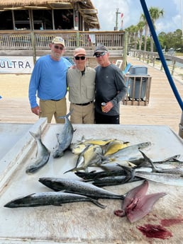 Bluefish, Florida Pompano, Spanish Mackerel Fishing in Orange Beach, Alabama