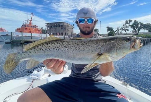 Speckled Trout Fishing in Panama City, Florida