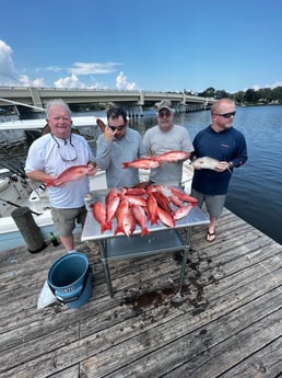Amberjack, Vermillion Snapper Fishing in Pensacola, Florida