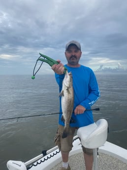 Speckled Trout / Spotted Seatrout fishing in Buras, Louisiana