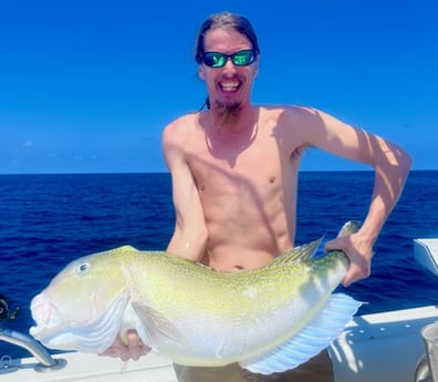 Tilefish Fishing in Key West, Florida