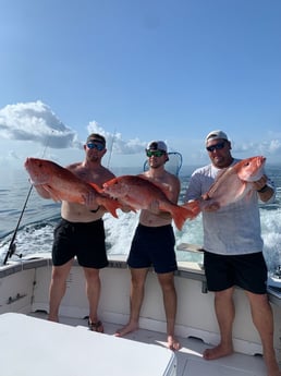 Red Snapper fishing in Biloxi, Massachusetts