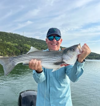 Hybrid Striped Bass Fishing in Graford, Texas