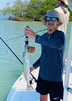 Speckled Trout / Spotted Seatrout fishing in Fort Myers Beach, Florida