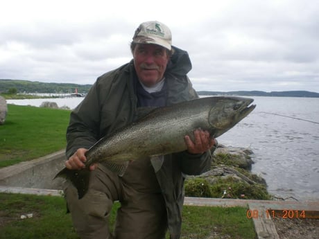 Chinook Salmon Fishing in Clay Township, Michigan
