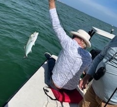 Bluefish Fishing in Sarasota, Florida
