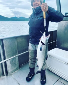 Chinook Salmon Fishing in Kodiak, Alaska