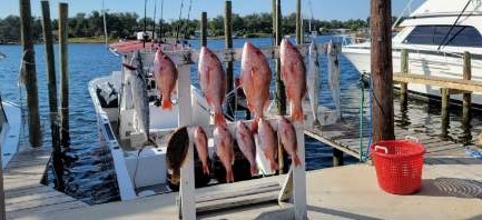 Red Snapper, Spanish Mackerel, Vermillion Snapper Fishing in Panama City, Florida