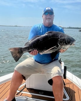 Black Drum fishing in Little River, South Carolina