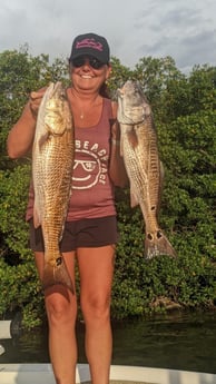 Redfish fishing in St. Petersburg, Florida