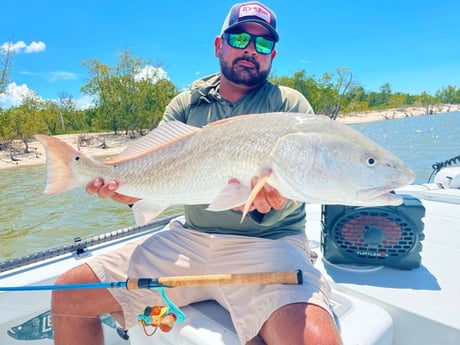 Redfish Fishing in Tavernier, Florida