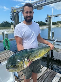 Mahi Mahi Fishing in Pensacola, Florida