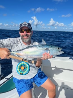 False Albacore Fishing in Jupiter, Florida