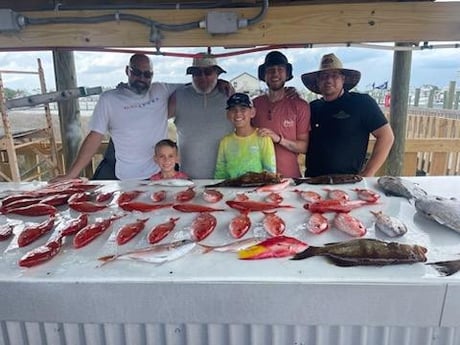 Black Grouper, Cod, Red Snapper, Triggerfish Fishing in Orange Beach, Alabama