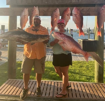 Cobia, Red Snapper fishing in Gulf Shores, Alabama