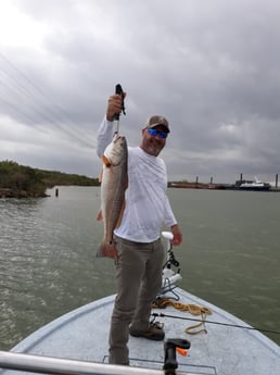 Redfish fishing in Houston, Texas