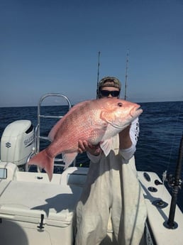 Red Snapper Fishing in Clearwater, Florida