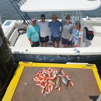 Gag Grouper, Scup, Triggerfish, Vermillion Snapper Fishing in Panama City, Florida