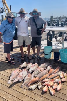 Lane Snapper, Mangrove Snapper, Red Grouper, Scup, Yellowtail Snapper Fishing in Cape Coral, Florida