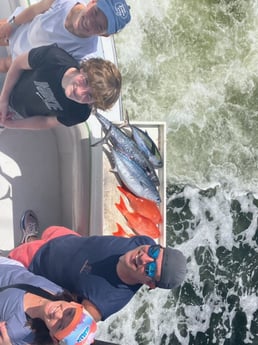 Blackfin Tuna, False Albacore, Kingfish Fishing in Fort Lauderdale, Florida