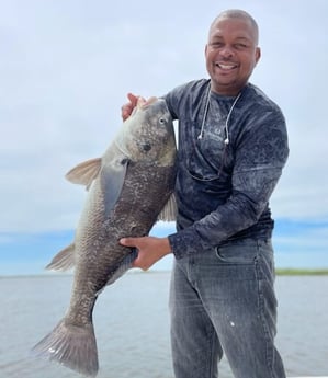 Black Drum fishing in Delacroix, Louisiana