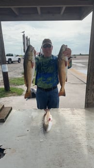 Redfish Fishing in Aransas Pass, Texas