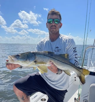 Snook fishing in Largo, Florida