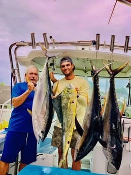 Mahi Mahi / Dorado, Yellowfin Tuna fishing in Kapa&#039;a, Hawaii