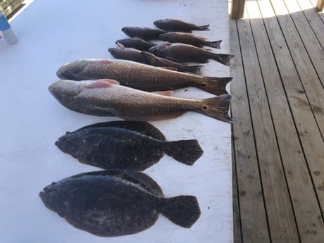 Flounder, Mangrove Snapper, Redfish fishing in Pensacola, Florida