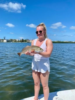 Redfish Fishing in Holmes Beach, Florida
