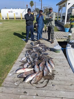 Black Drum, Flounder, Redfish, Sheepshead Fishing in Sulphur, Louisiana