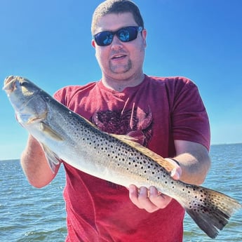 Speckled Trout / Spotted Seatrout Fishing in Cape Coral, Florida