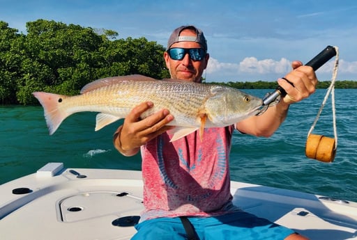 Redfish fishing in Fort Myers Beach, Florida