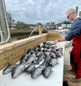 Black Seabass Fishing in Wilmington, North Carolina