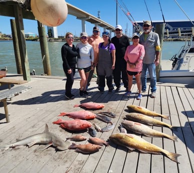 Bonnethead Shark, Hardhead Catfish, Red Snapper, Redfish Fishing in Freeport, Texas