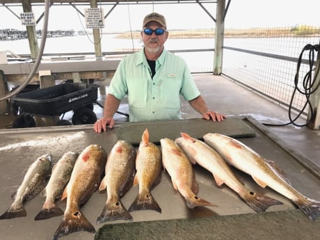 Redfish, Speckled Trout / Spotted Seatrout Fishing in Matagorda, Texas