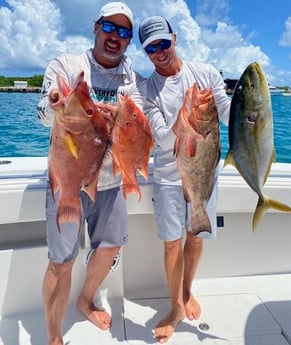 Hogfish, Red Grouper, Yellowtail Amberjack fishing in Islamorada, Florida