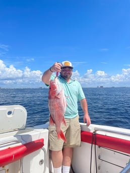 Red Snapper fishing in Panama City Beach, Florida