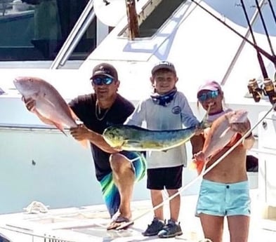 Mahi Mahi, Mutton Snapper Fishing in Islamorada, Florida