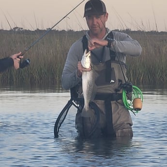 Speckled Trout / Spotted Seatrout Fishing in Aransas Pass, Texas