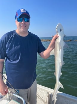 Bonnethead Shark Fishing in Galveston, Texas