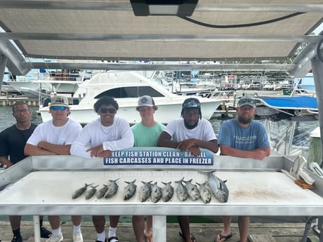 Bluefish, Spanish Mackerel Fishing in Destin, Florida