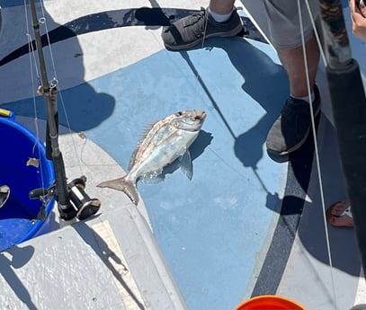 Fishing in Spanish Fort, Alabama