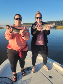 Speckled Trout / Spotted Seatrout Fishing in Mount Pleasant, South Carolina