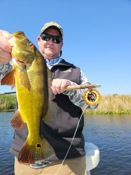 Fishing in Pembroke Pines, Florida
