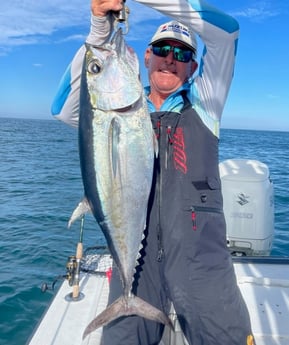 Blackfin Tuna fishing in Naples, Florida