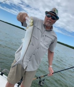Ladyfish fishing in Clearwater, Florida